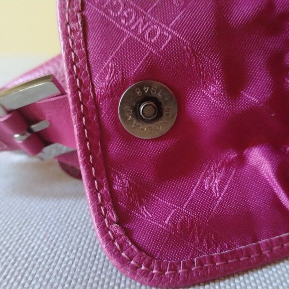 Longchamp Hobo Bag in Pink Pebbled Leather, EUC - Picture 8 of 13